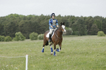 BVHT 140517  NXC -173