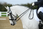 LAD_5372
