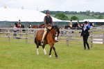 SBM_08558
