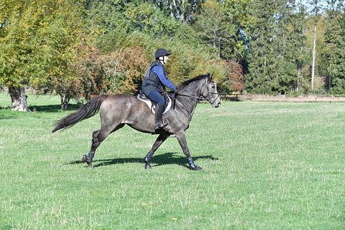 WJ5_7656