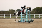 SBM_04244