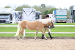 SBM_03891