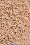 231028A-140600-01823