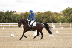 SBM_003381