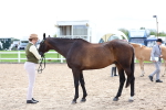 SBM_03942