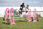 Class 208 - Senior Foxhunter 1.20m Open portfolio
