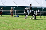 SBM_09350