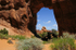 Pinetree Arch
