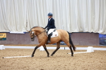 SBM_000355
