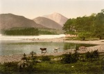 Lake District Derwentwater 22