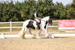 SBM_006561