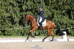 177-ARGENTINO_BK-Dani_Evans-WEDTrotUp+DR portfolio