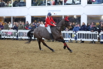 SBM_004784