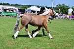 SBM_08059