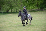 WJ6_1346