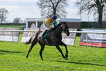 100426-Race 6-In The Breeze-3661