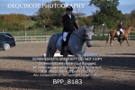 BPP_8183