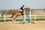 SBM_000356