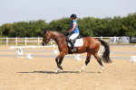 SBM_003433