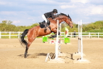 SBM_002440
