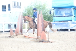 SBM_09095