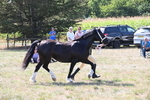 WJ6_4874