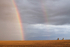 9 Saskatchewan