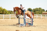 SBM_002989