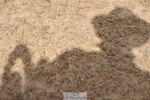 230906A-105134-00088