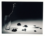 Black & white rose in glass vase