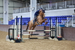 SBM_002743