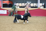 SBM_16605