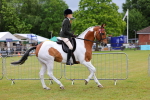 SBM_02505