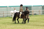 SBM_05252