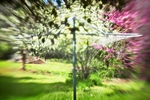 Whirling Clothes Tree