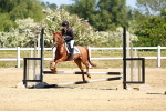 SBM_007492