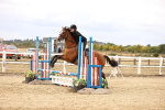 SBM_007298
