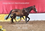 JAC_5586