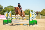 SBM_006499