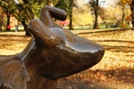 23. Maple, Bute Park