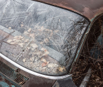 NOVEMBER REFLECTIONS, 2014