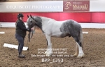 BPP_1253