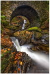 Maria's Bridge, Tollymore Forest Park (IMG1104)