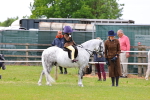 SBM_08271