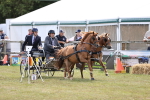 SBM_15168
