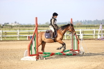 SBM_000044