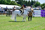 SBM_05888