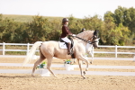 SBM_017018