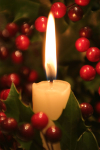 3  CANDLE AND BERRIES 2