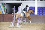 SBM_000913